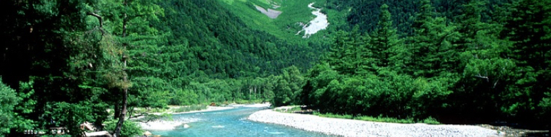 ����{�[�����T�C�g